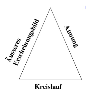 Beurteilungsdreieck päd. Notfälle